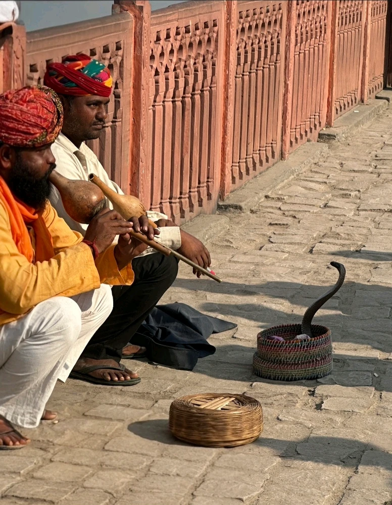 Imagen subida por Maru