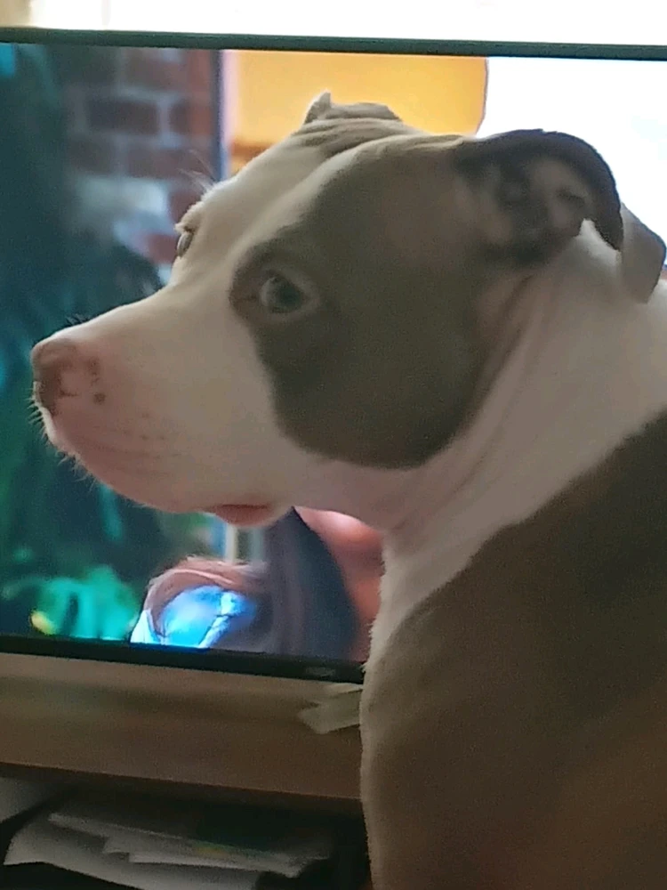 GIF subido por Felix