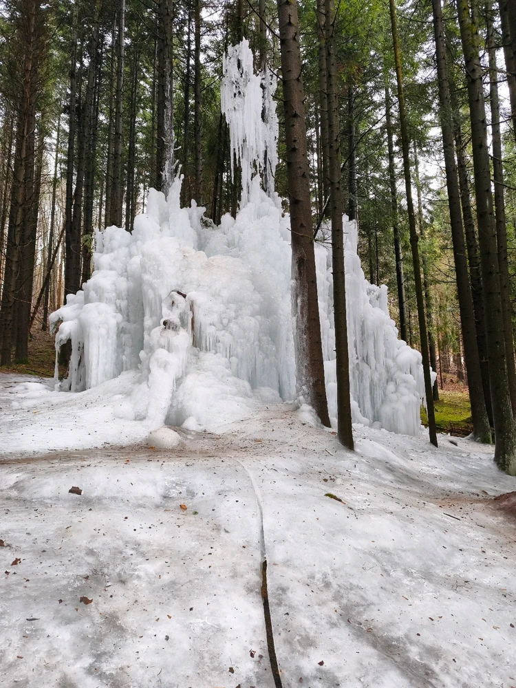 Fotku nahral/-a Marek