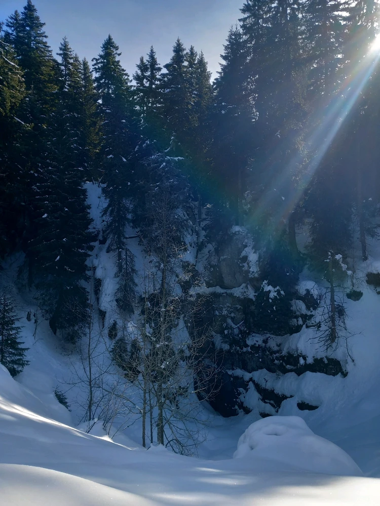 Image ajoutée par Bookchin