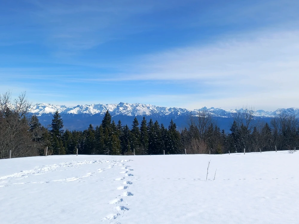 Image ajoutée par Bookchin