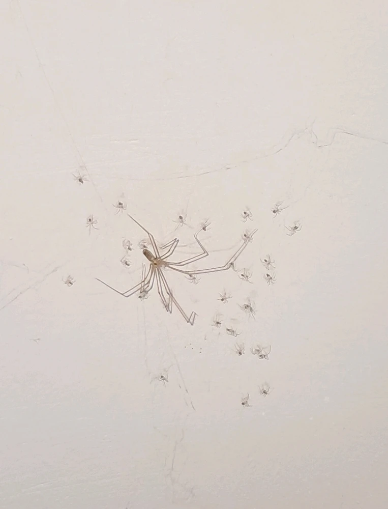 GIF ajouté par Angélique