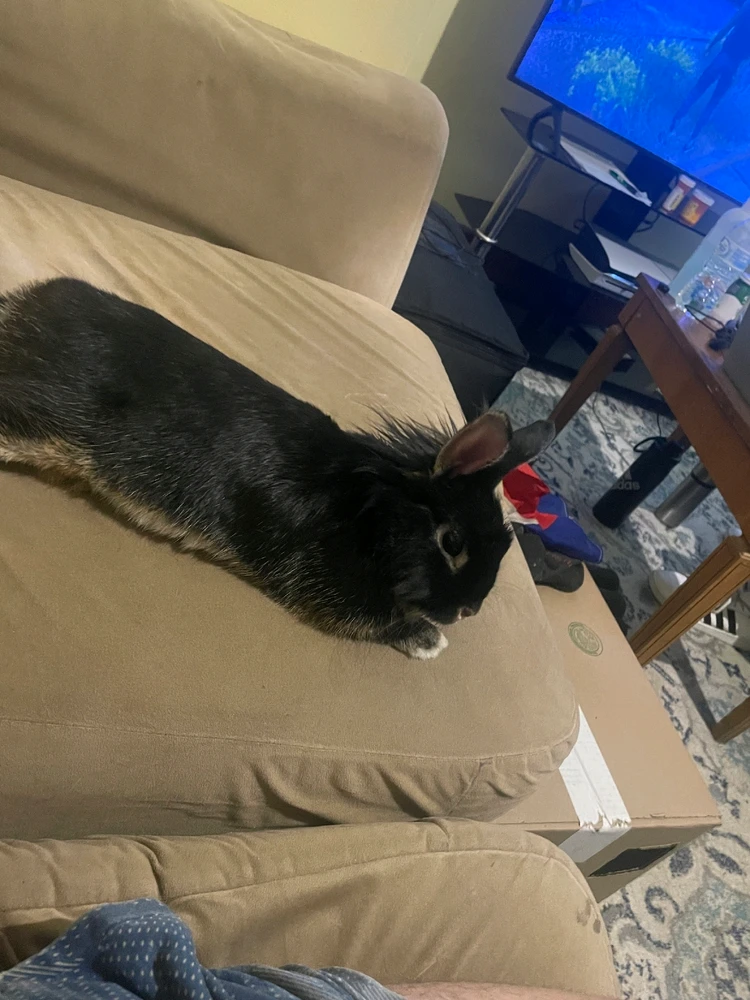 GIF uploaded by Tyler