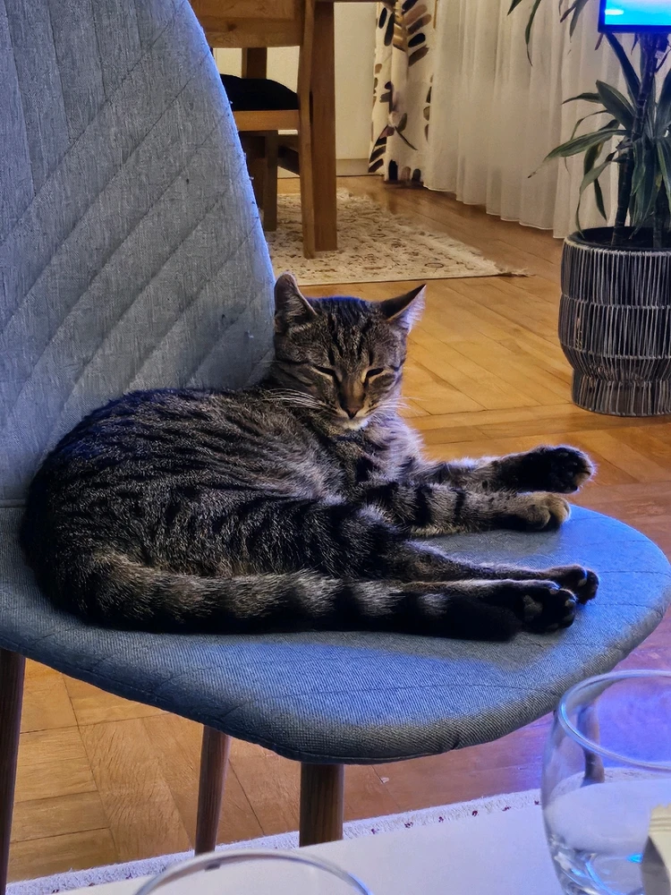 GIF hochgeladen von D