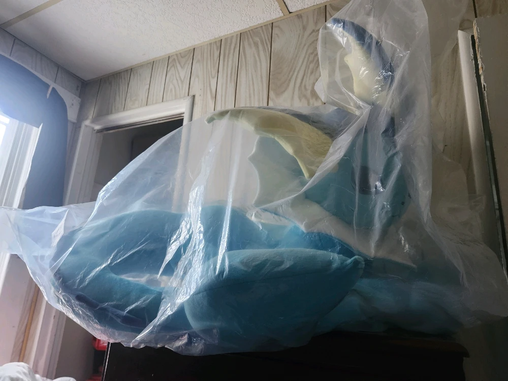 Image uploaded by Jonathan