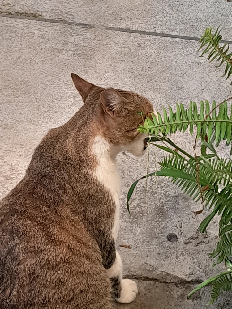 GIF subido por Leonardo