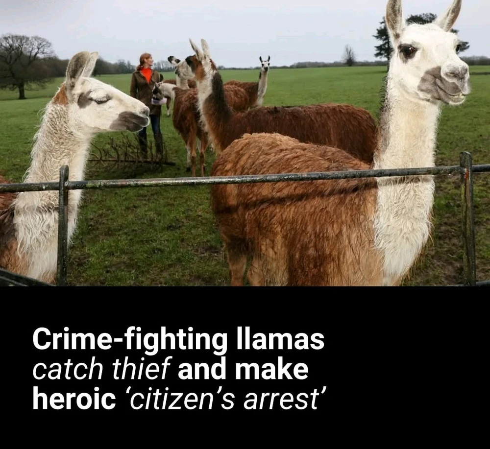 GIF uploaded by DezzieDee