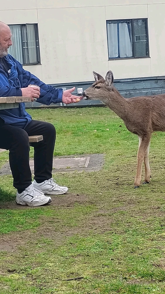 Image uploaded by Michael