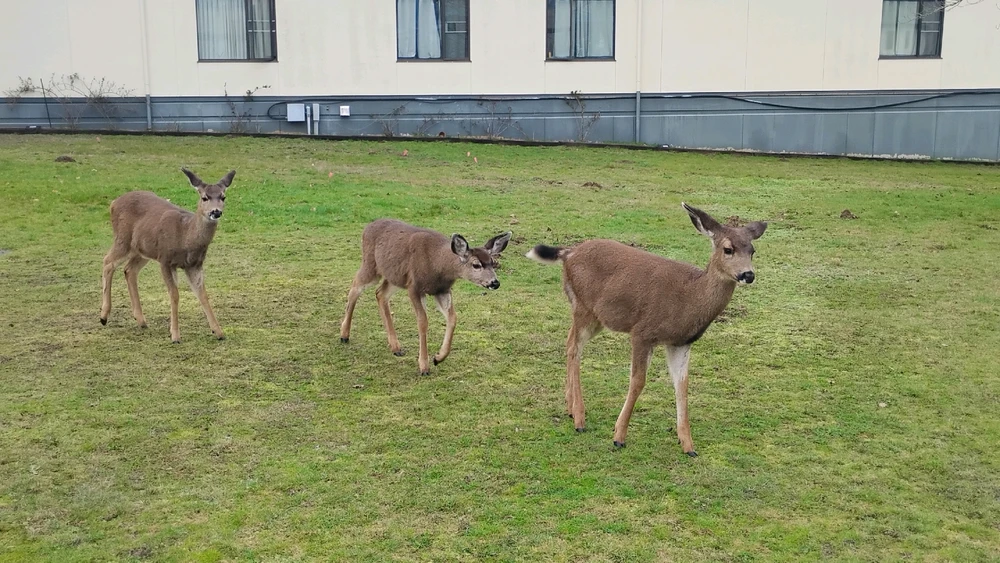 Image uploaded by Michael