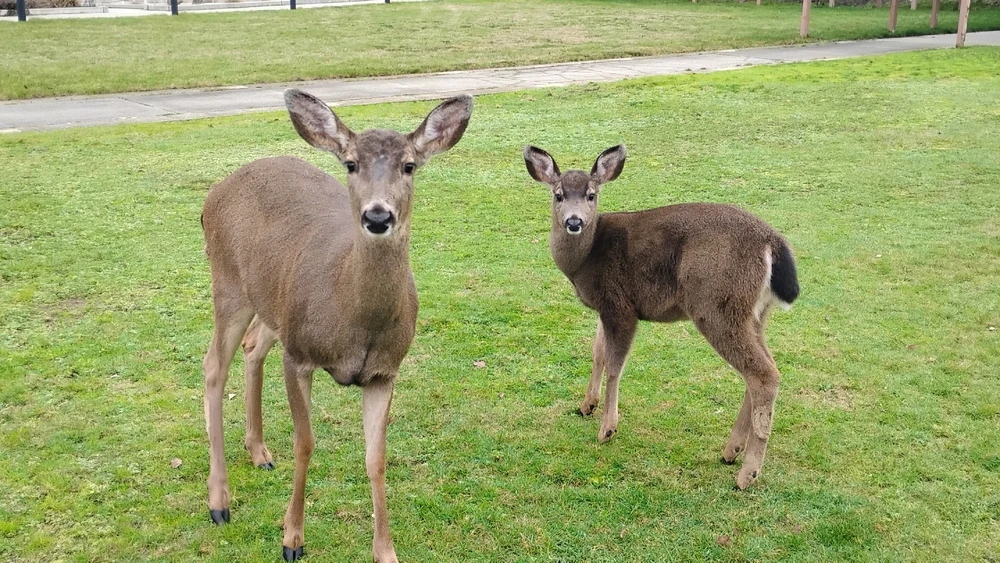 Image uploaded by Michael