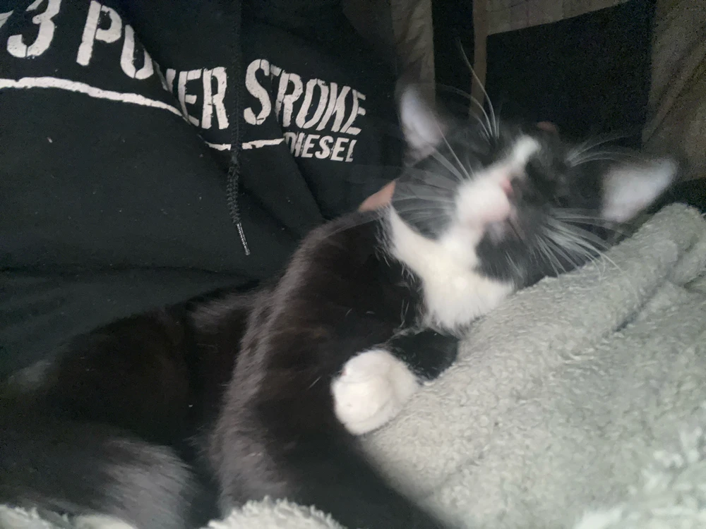 Image uploaded by Jake