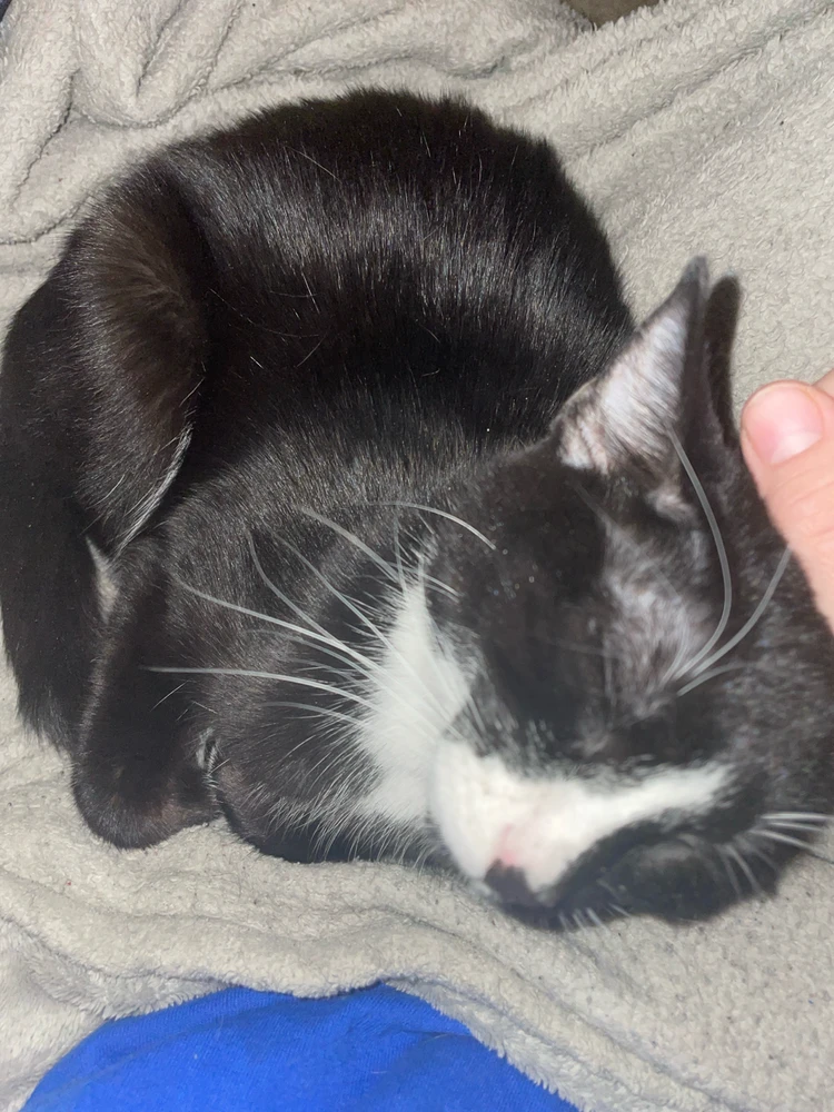 Image uploaded by Jake