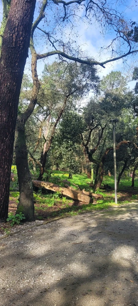 GIF uploaded by Cleider