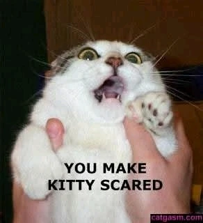 GIF uploaded by Crystal