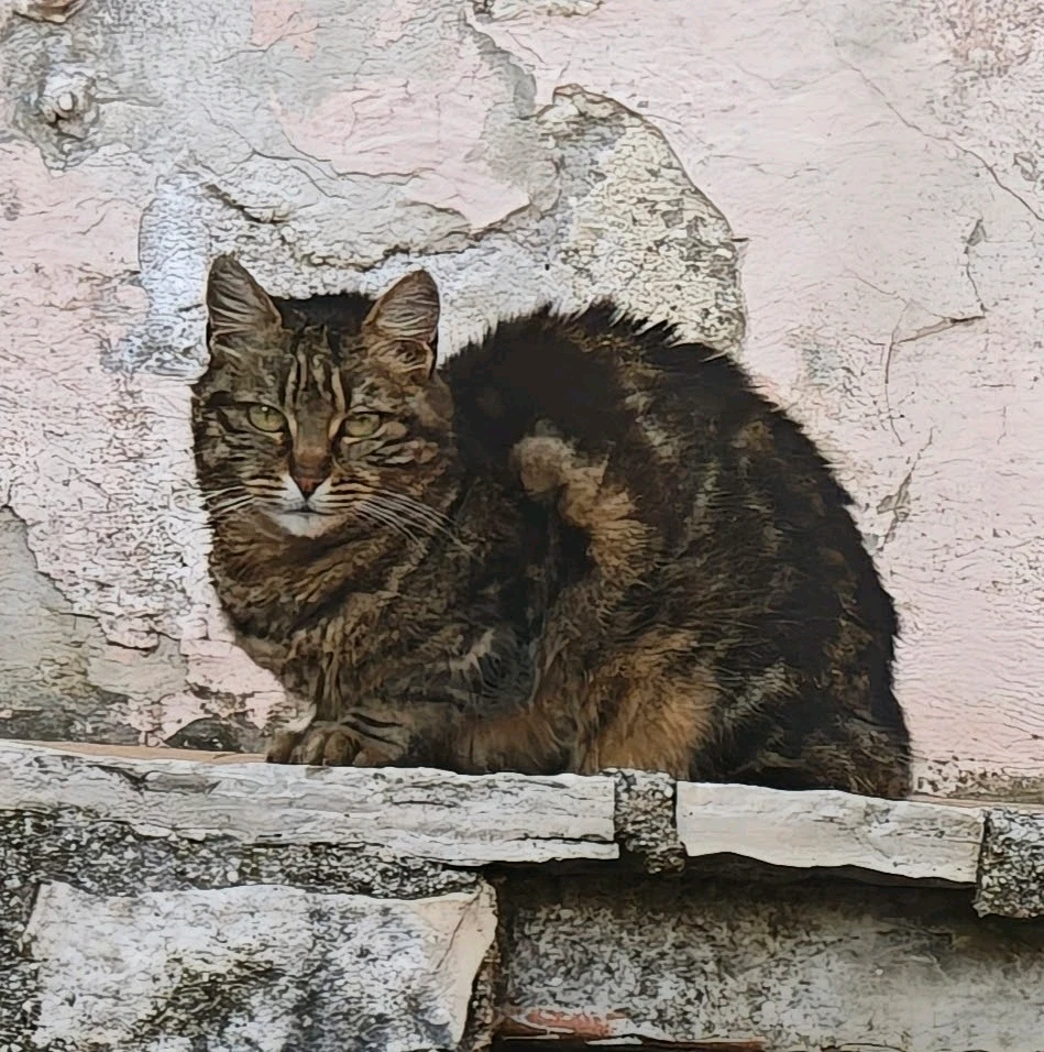 GIF uploaded by Willy