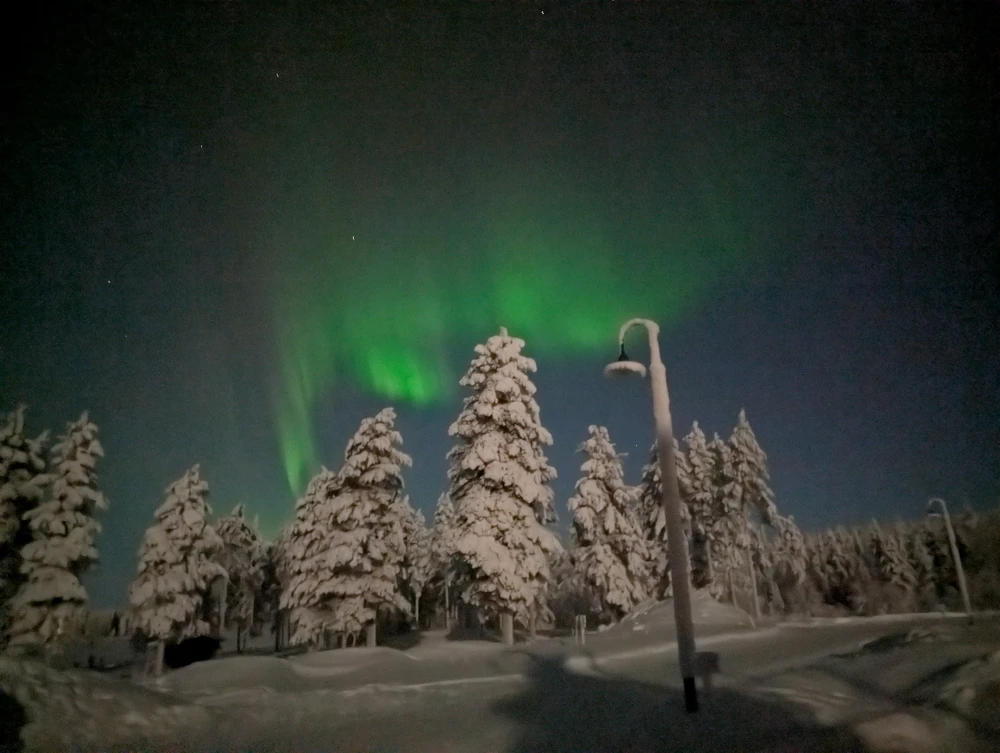 Image ajoutée par Steven