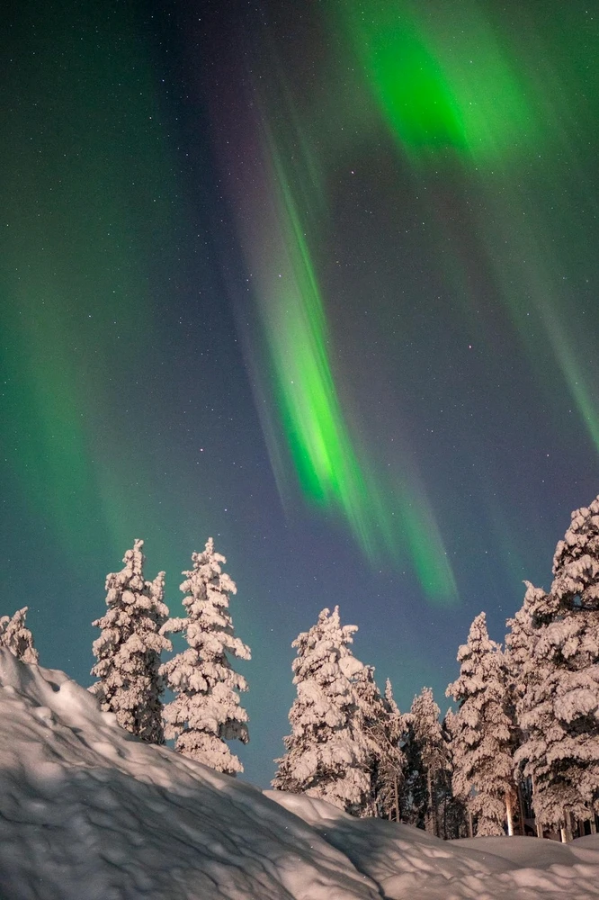 Image ajoutée par Steven