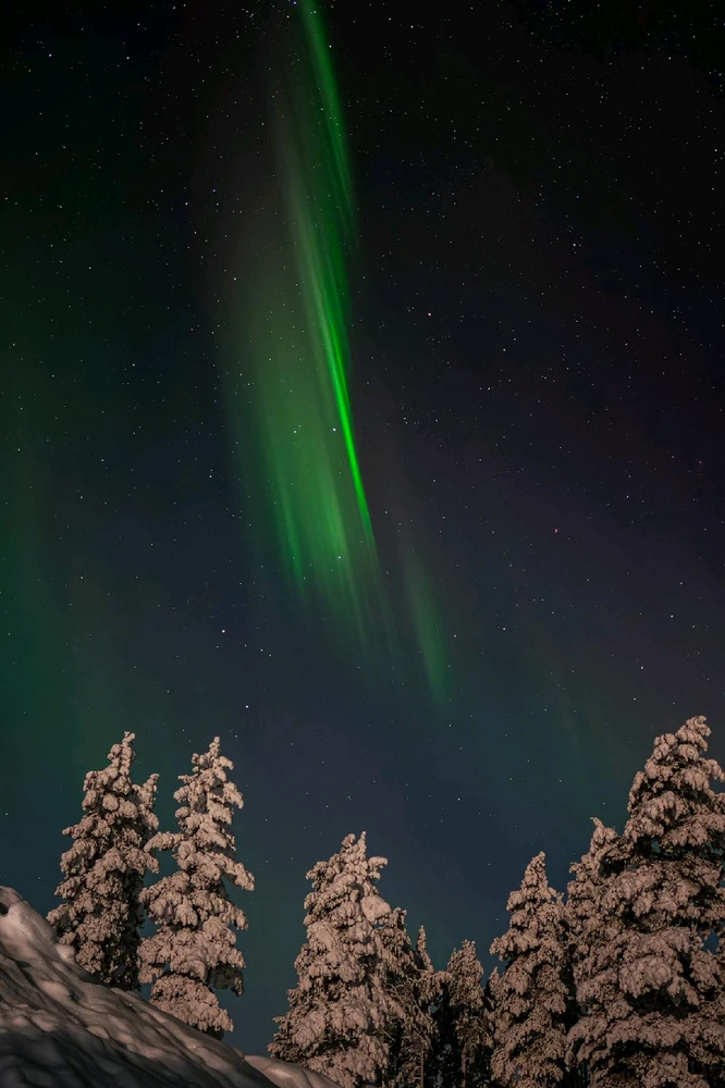 Image ajoutée par Steven