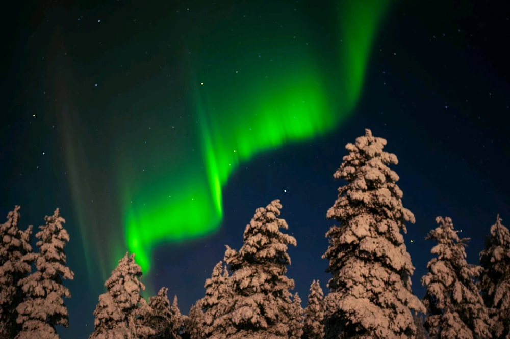 Image ajoutée par Steven