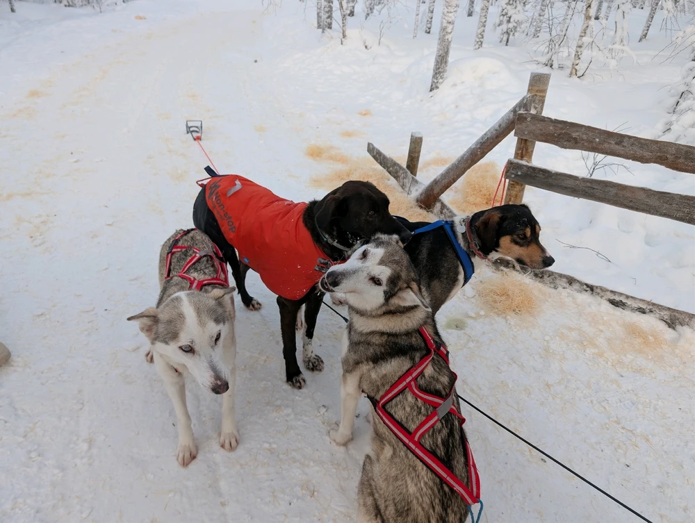 Image ajoutée par Steven