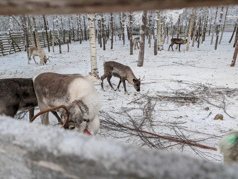 Image ajoutée par Steven