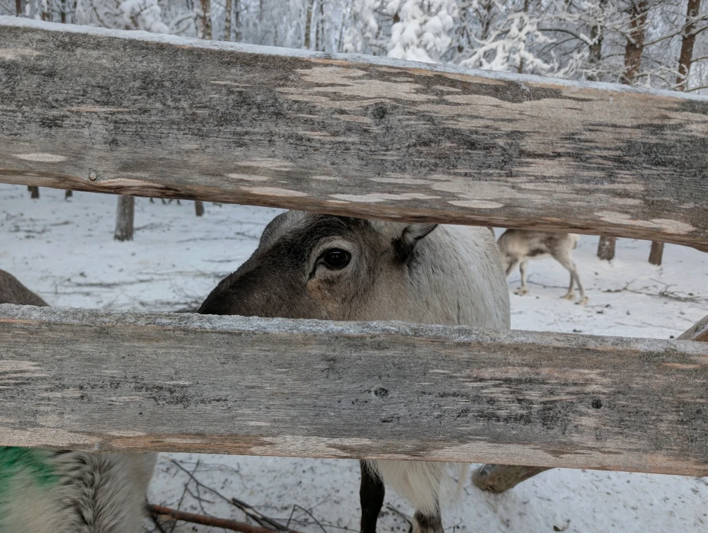 Image ajoutée par Steven