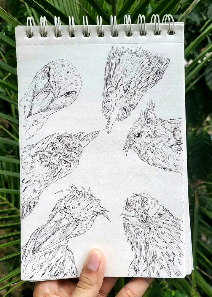 Imagen subida por jesús coronado