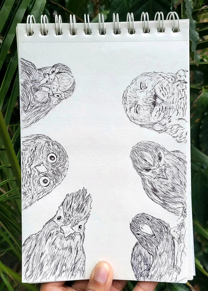 Imagen subida por jesús coronado