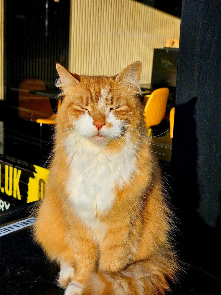 Image uploaded by Ash