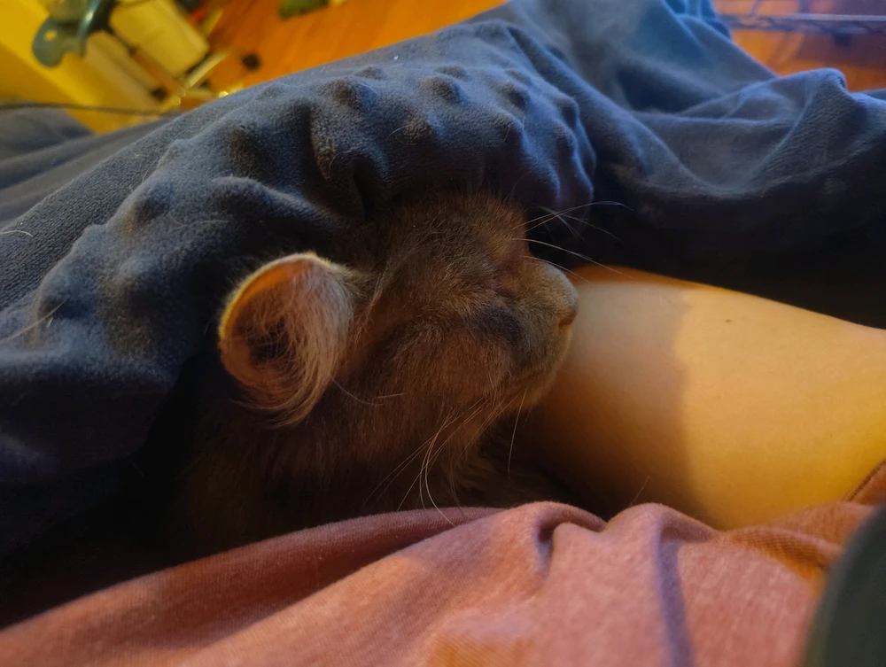 GIF uploaded by Brian!?