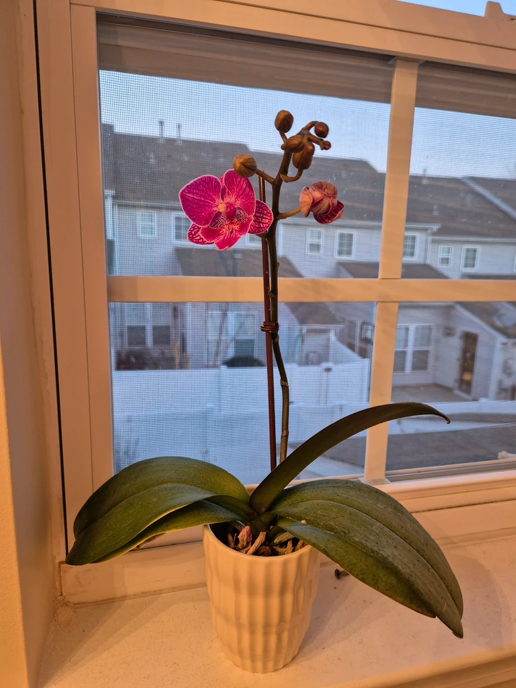 GIF uploaded by Nick