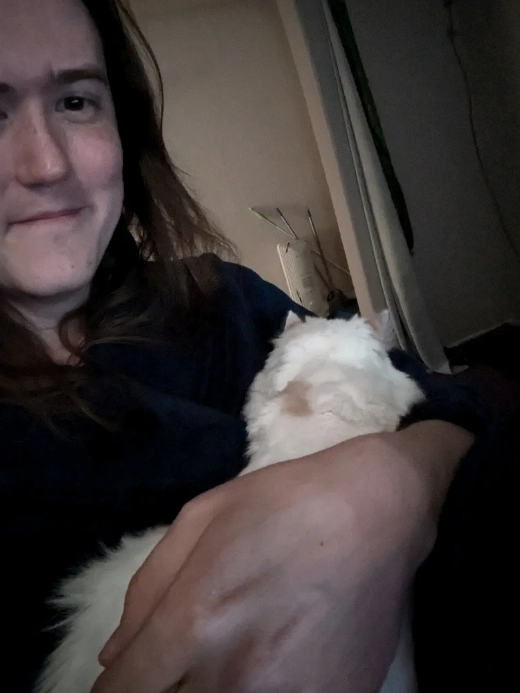 GIF uploaded by Colin