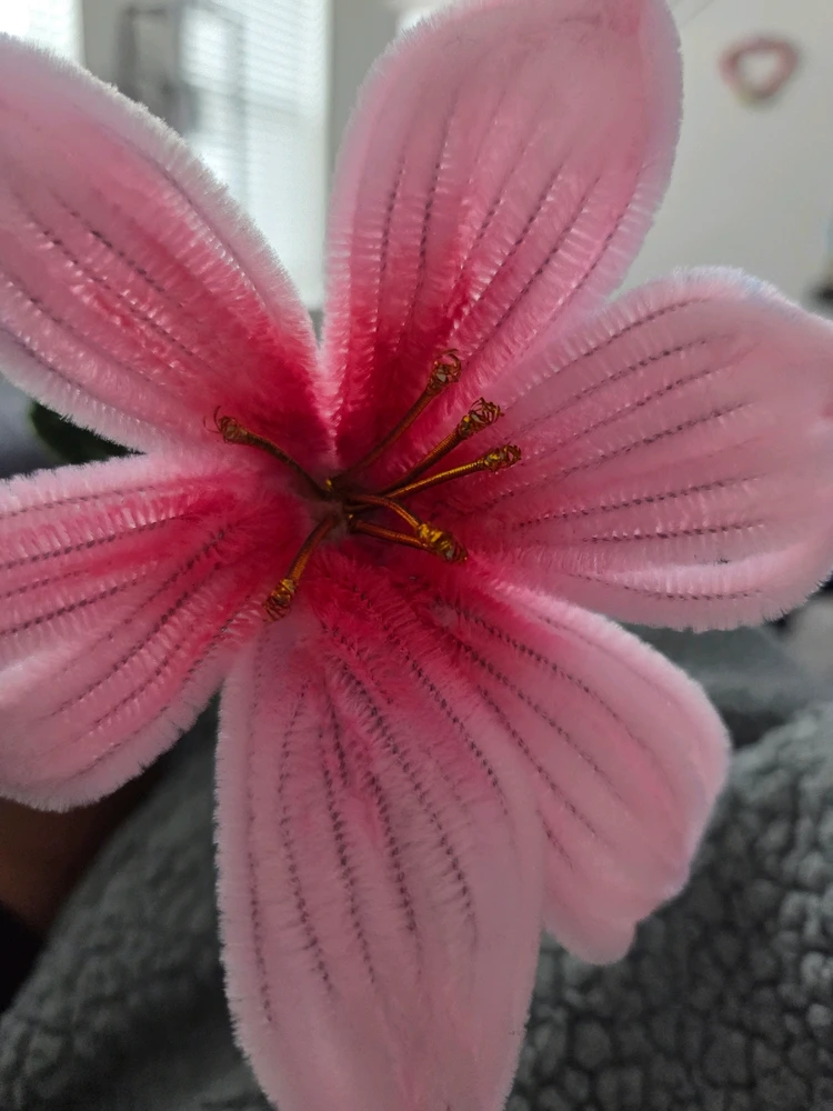 Gambar diunggah dening Tina