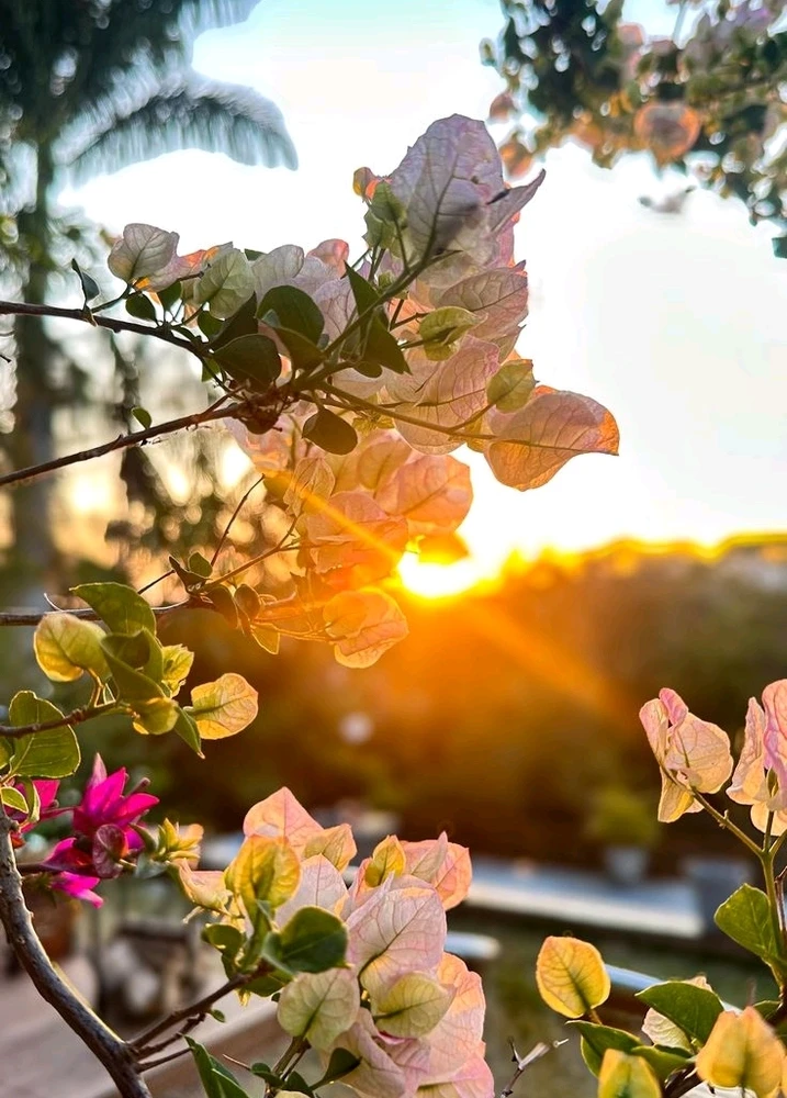 GIF uploaded by 𝑨𝒏𝒆𝒆𝒍..