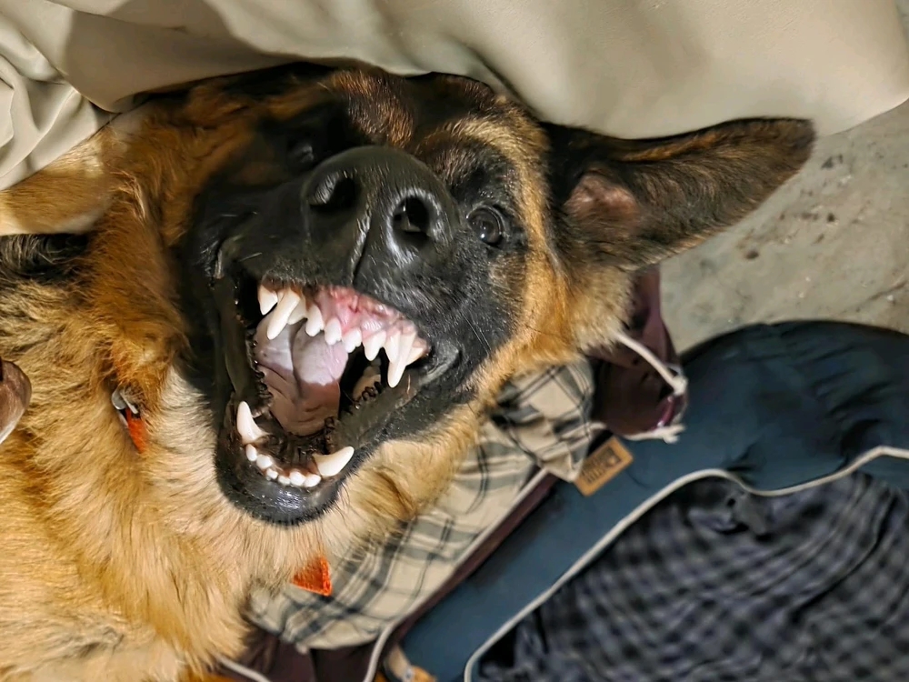 GIF uploaded by Kiri