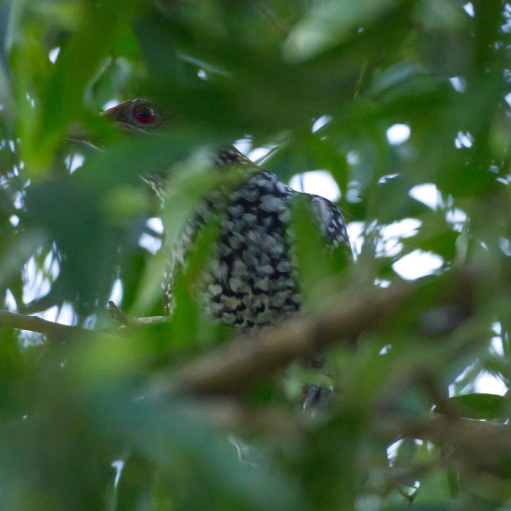 Image uploaded by Alex