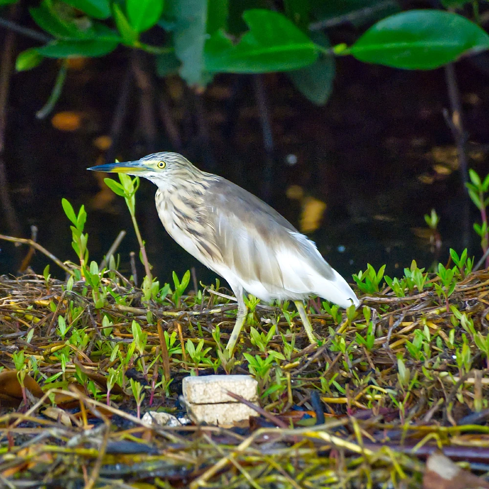 Image uploaded by Alex