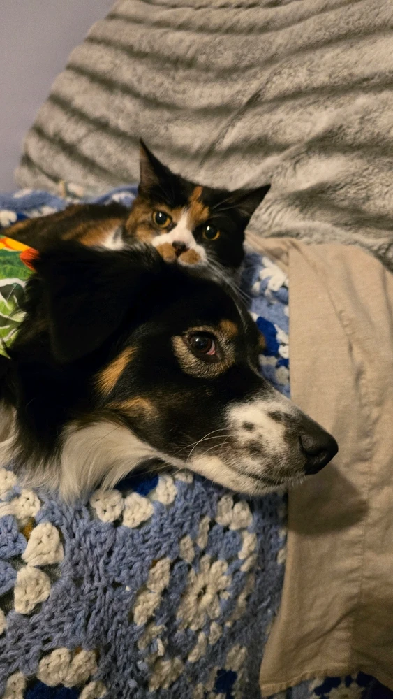 GIF uploaded by Julie