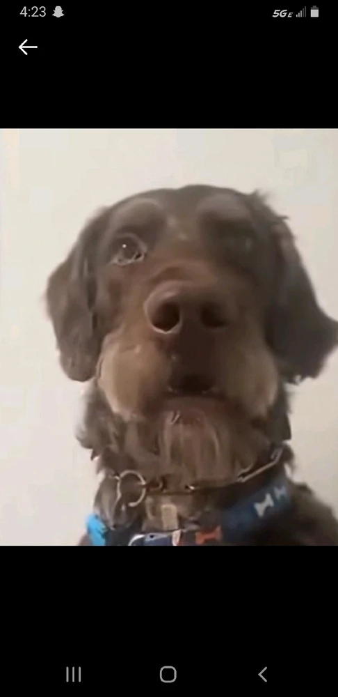 GIF uploaded by Coltyn