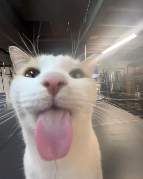 GIF uploaded by Alexandria