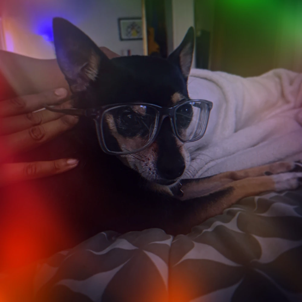 GIF uploaded by Gabriel