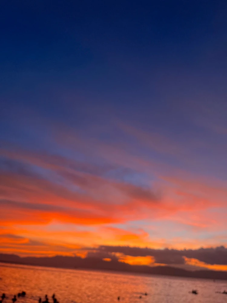 Image uploaded by Aubreyyy