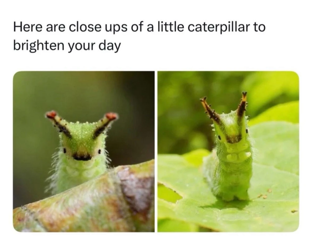 GIF uploaded by 🌙✨ℳℯ𝓁𝒶𝓃𝒾𝓆𝓊ℯ✨🌙