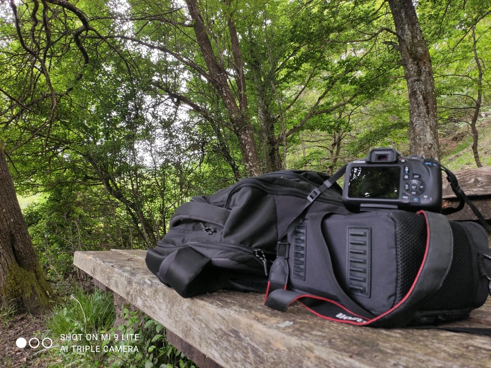 GIF caricata da Jgor