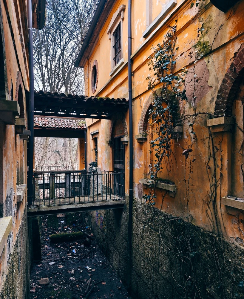 Immagine caricata da Giulio