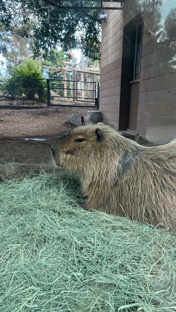 GIF uploaded by Henna