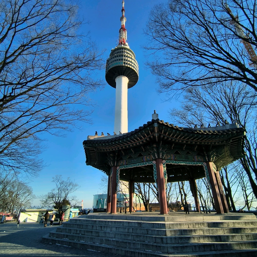 Image uploaded by Sadie