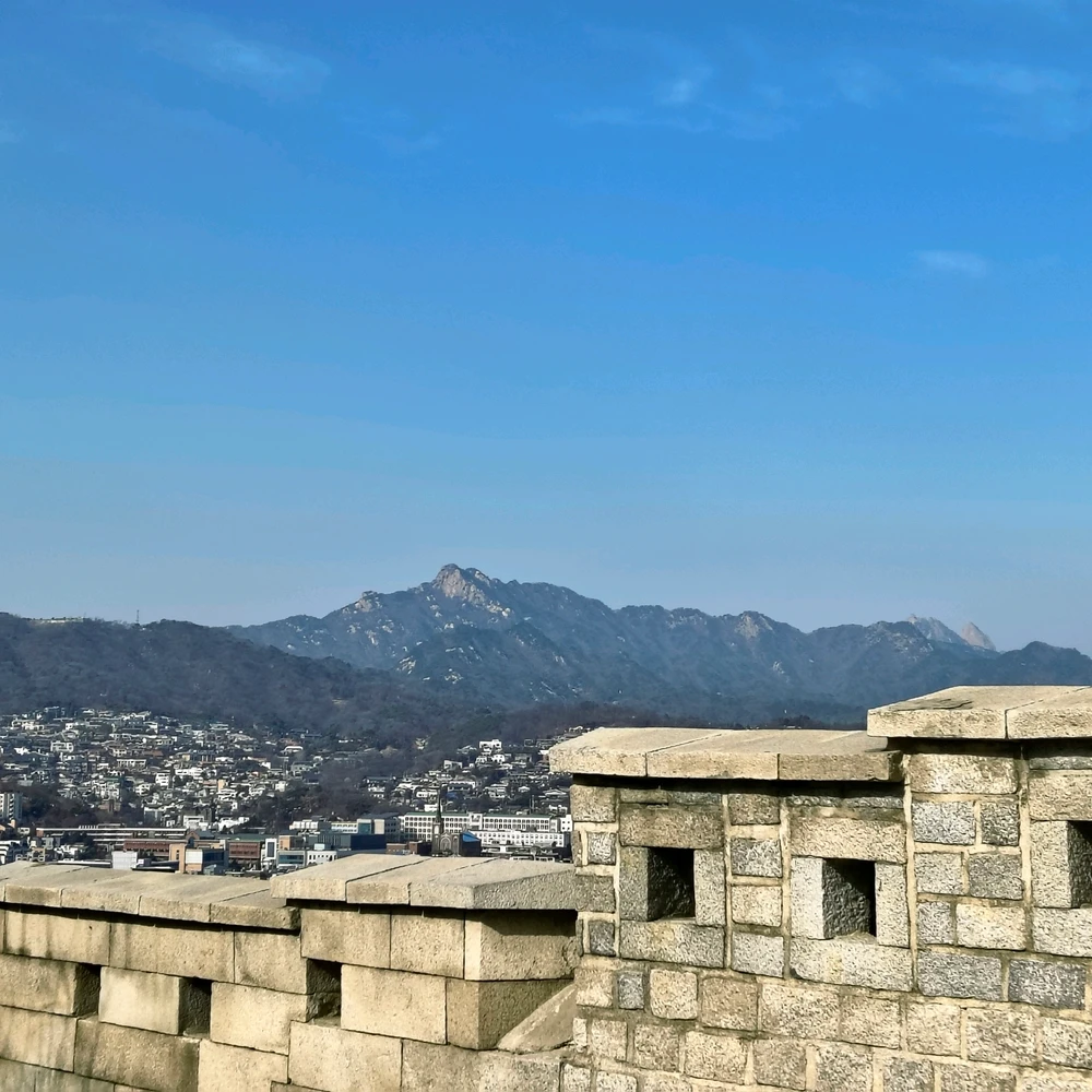 Image uploaded by Sadie