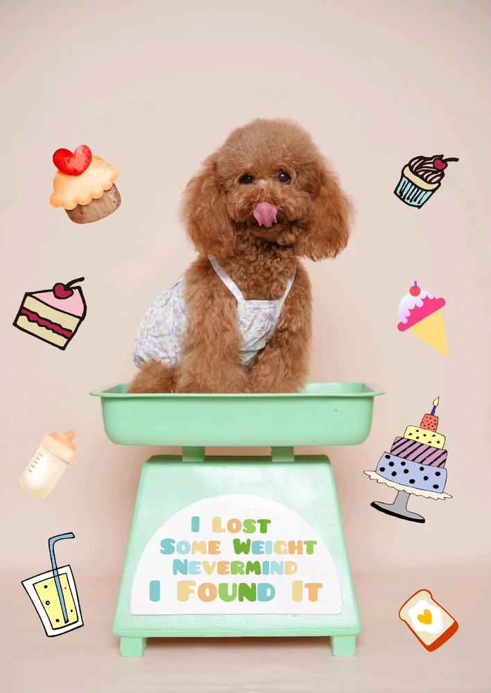 GIF uploaded by Angel