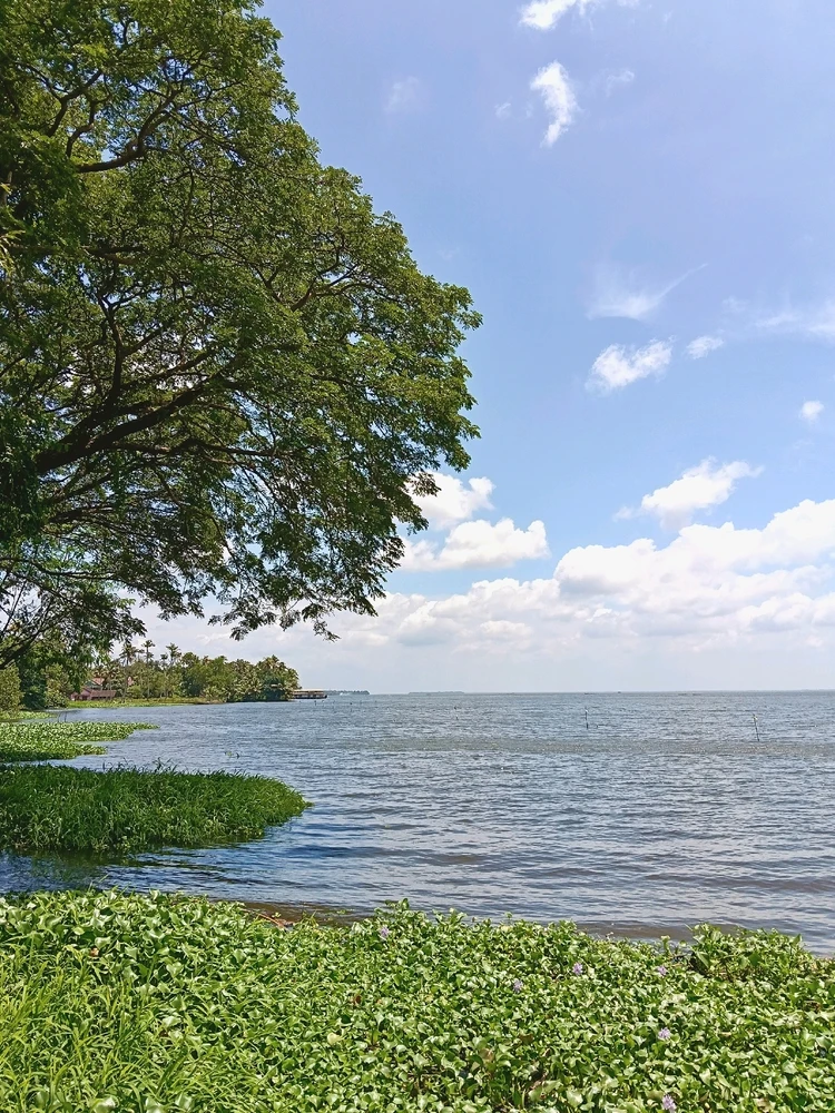 GIF uploaded by Dudu